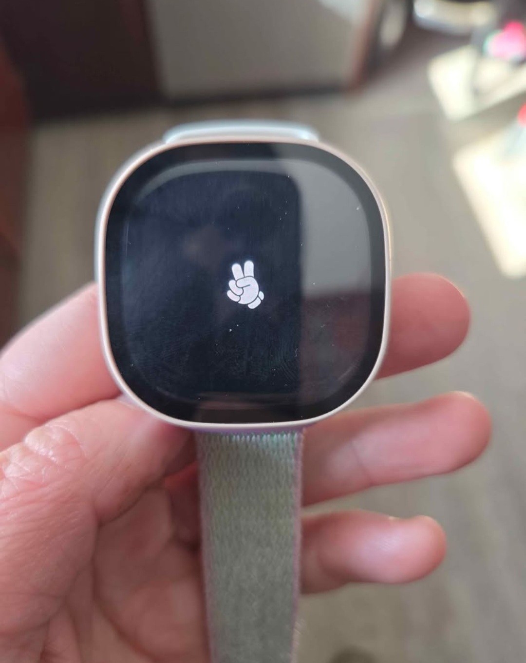 2 Fitbit Ace Lte Watches