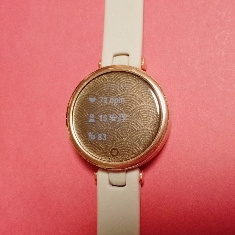 GARMIN LILY Smartwatch Bluetooth Black Womens GPS Sport Watch Working Used