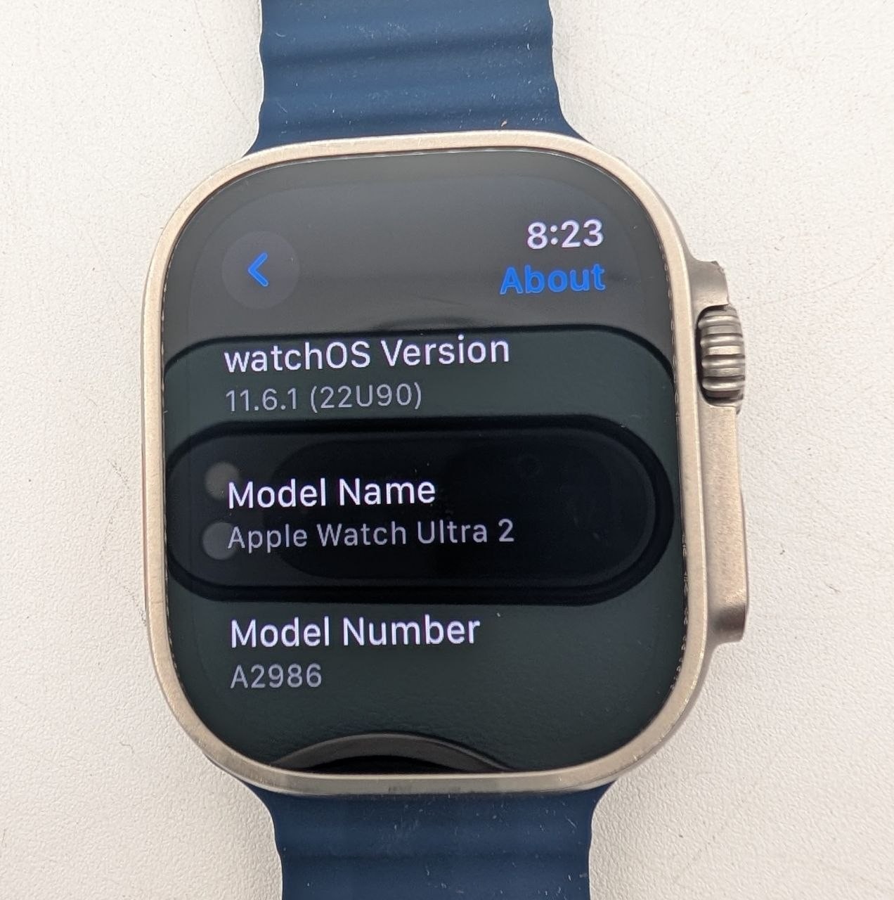 Apple Watch Ultra 2 Natural Titanium Case with Blue Ocean Band – READ