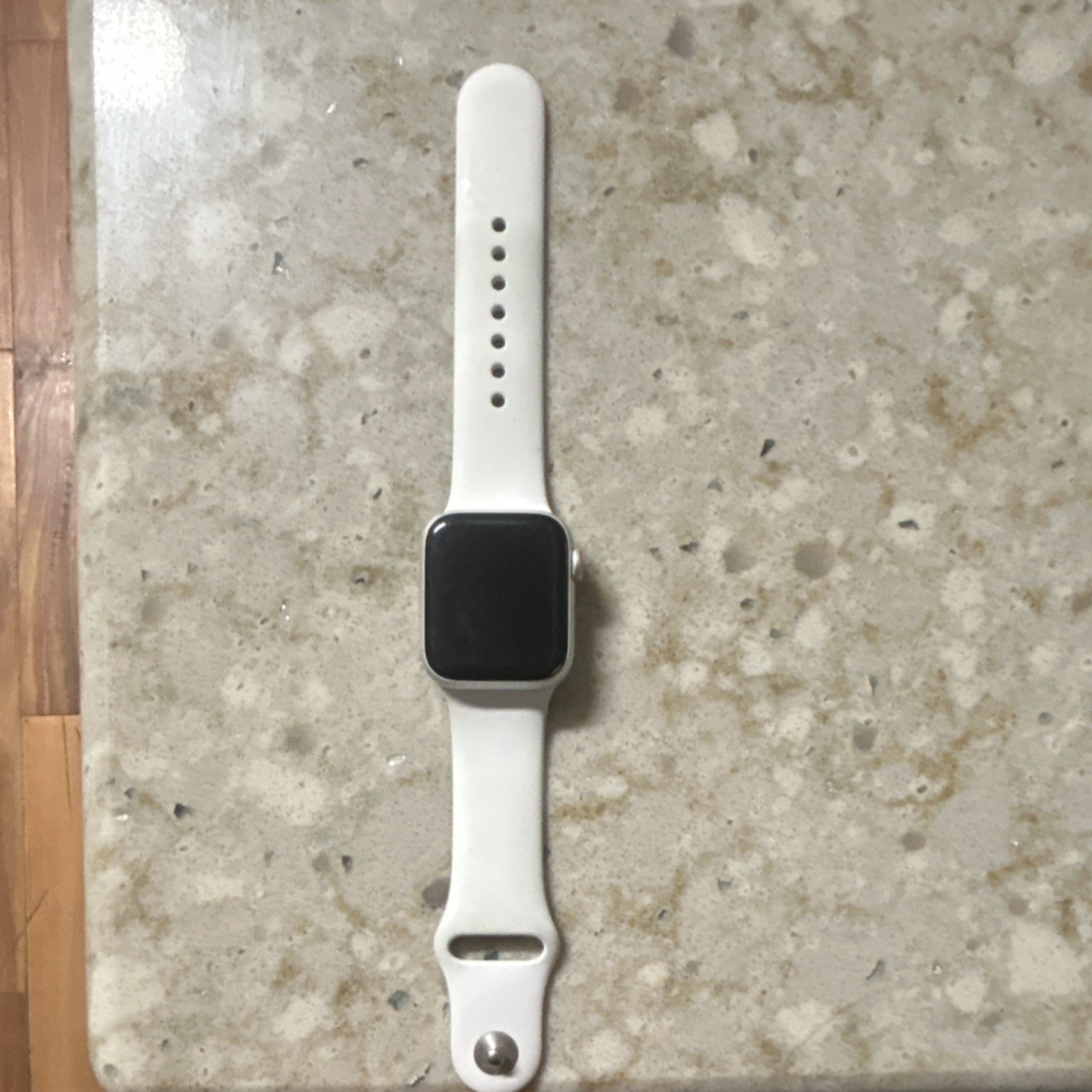 Apple Watch SE (2nd Gen) Series SE 40mm Aluminum White Silicone Band