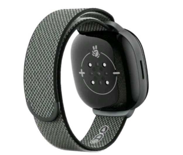 Google Fitbit Ace LTE Smart Watch