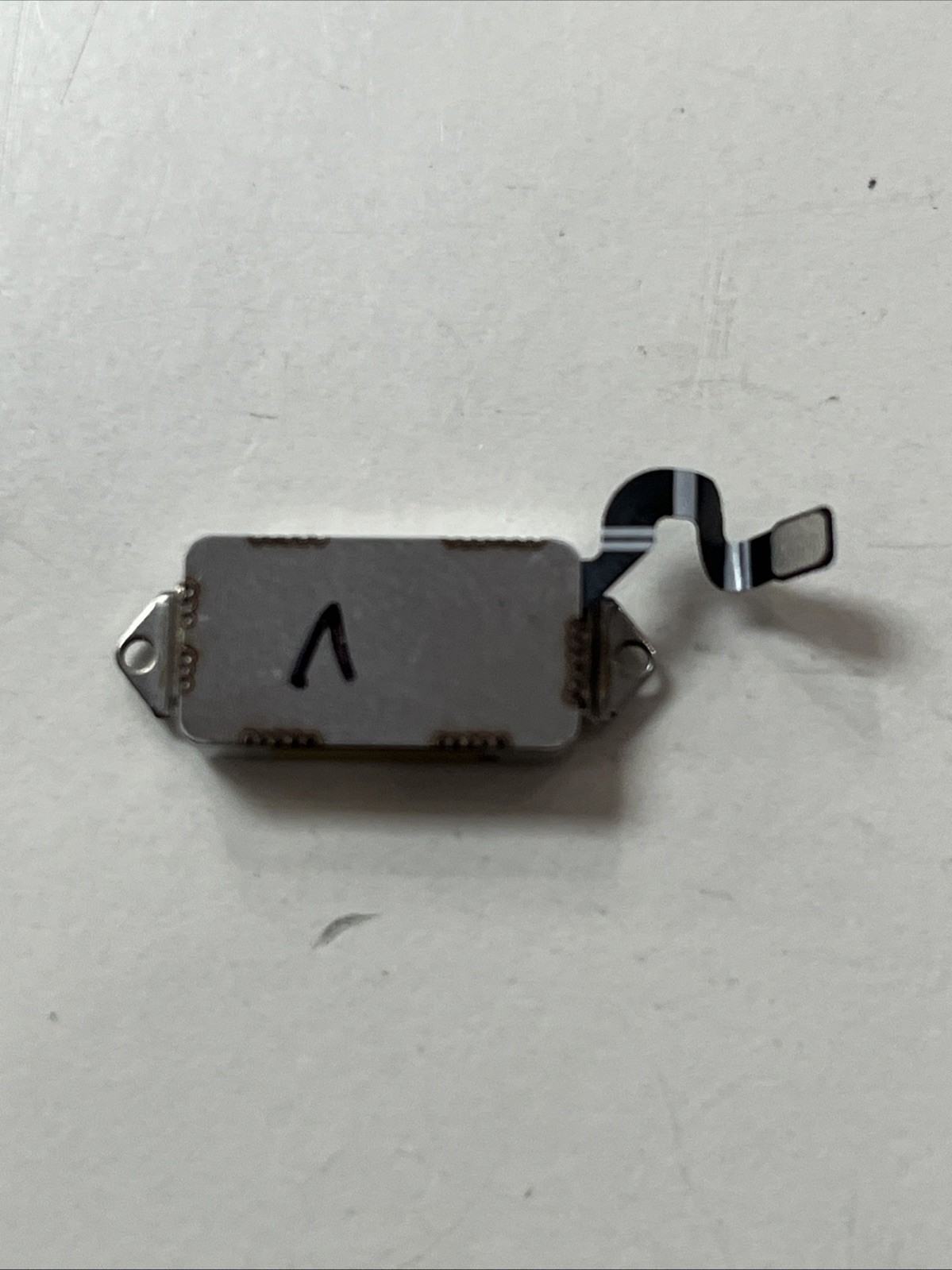 Google Pixel 41mm Watch Internal Vibrator Flex GQF4C Replacement – Parts