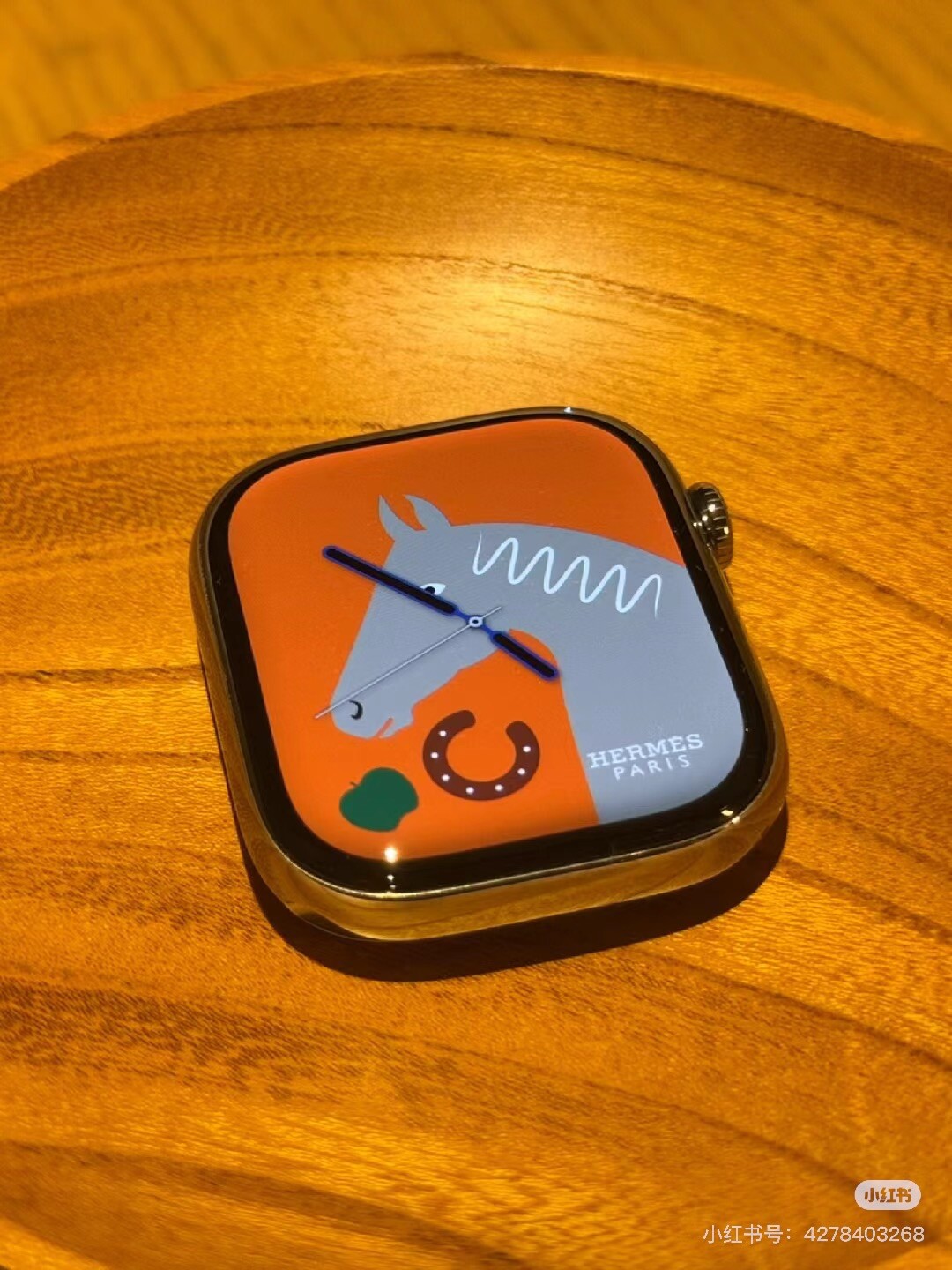 Apple Watch Hermes Series 10 46MM With Orange Sports Band NEW!