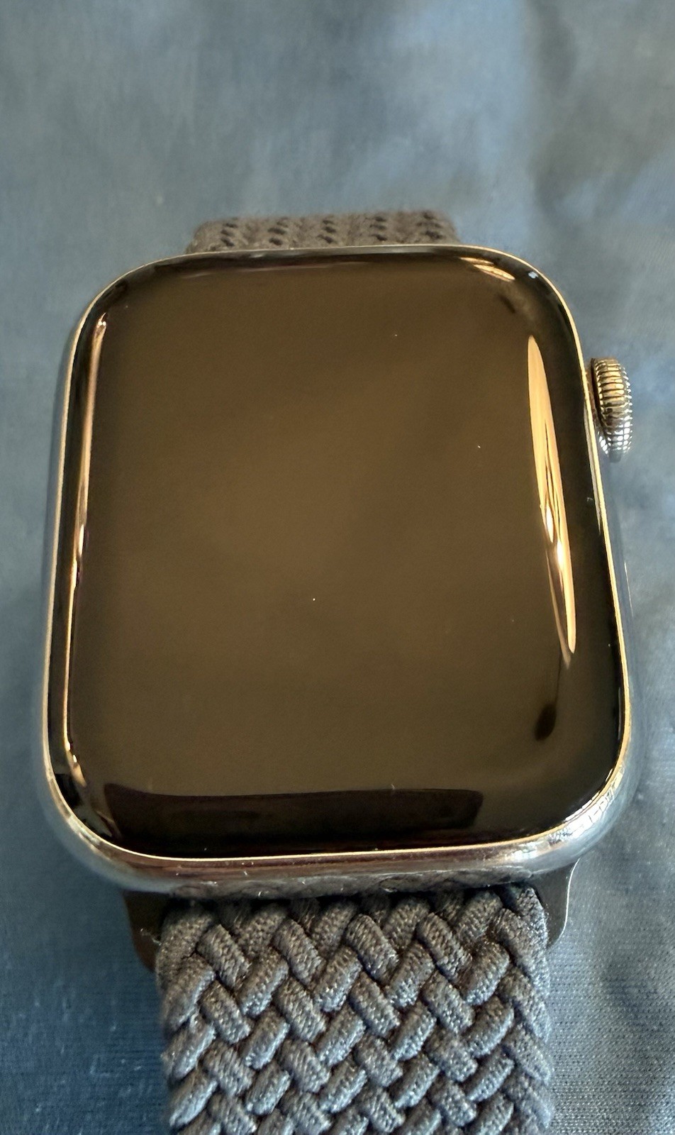 Apple Watch Series 7 GPS & LTE 45mm Stainless Steel Silver Case Green Nylon Band