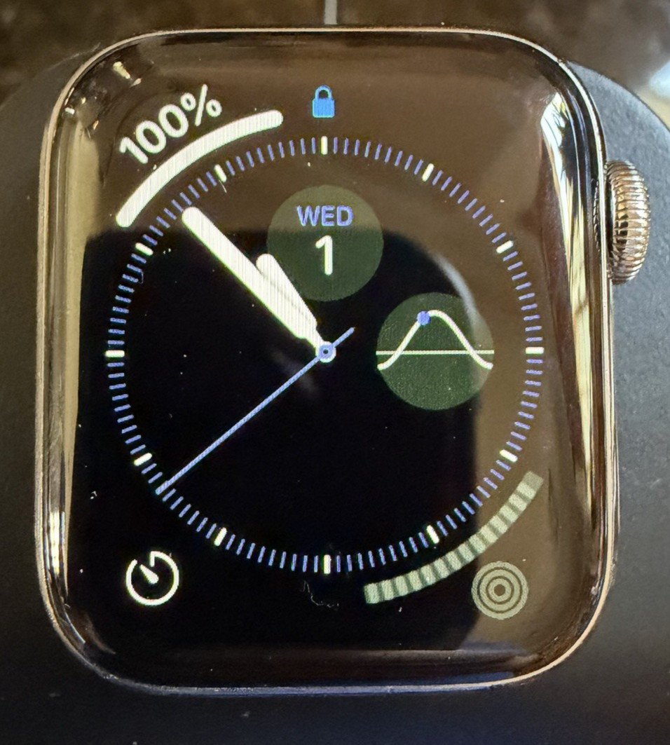 Apple Watch Series 5 40mm Stainless Steel GPS + 4G Cellular – 74% Battery READ