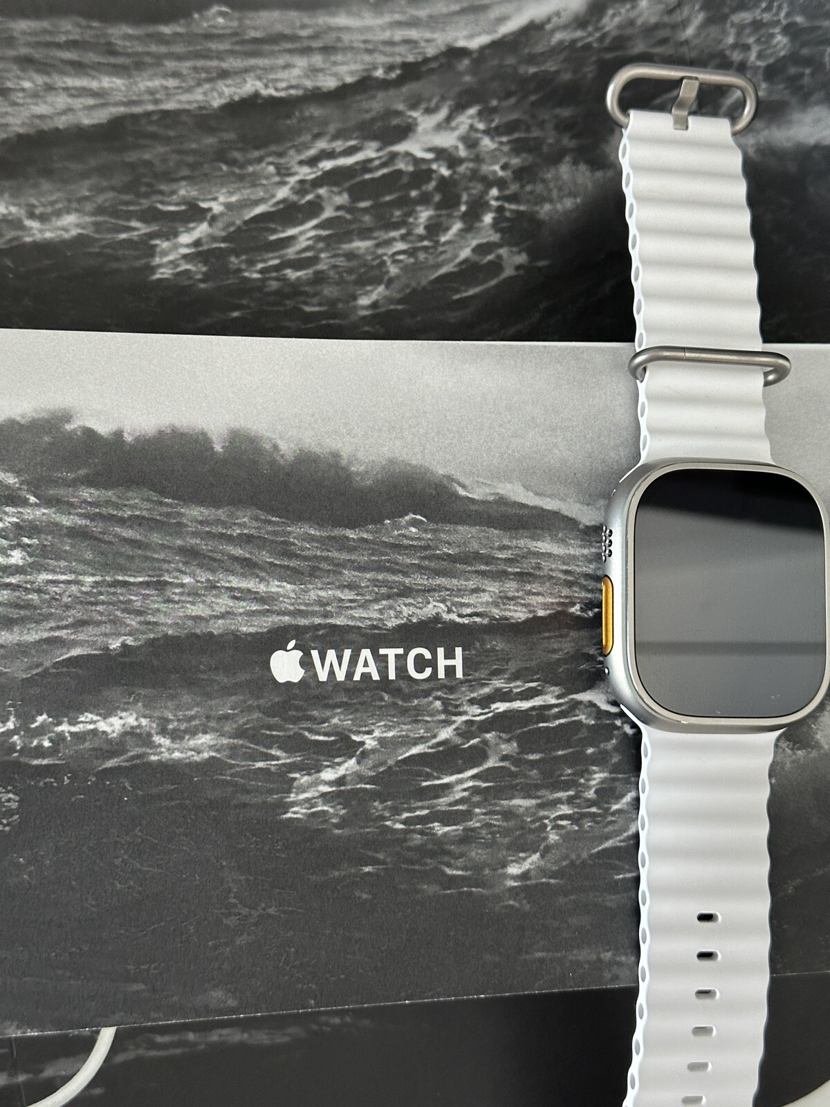 apple watch ULTRA Titanium Case White Ocean Band
