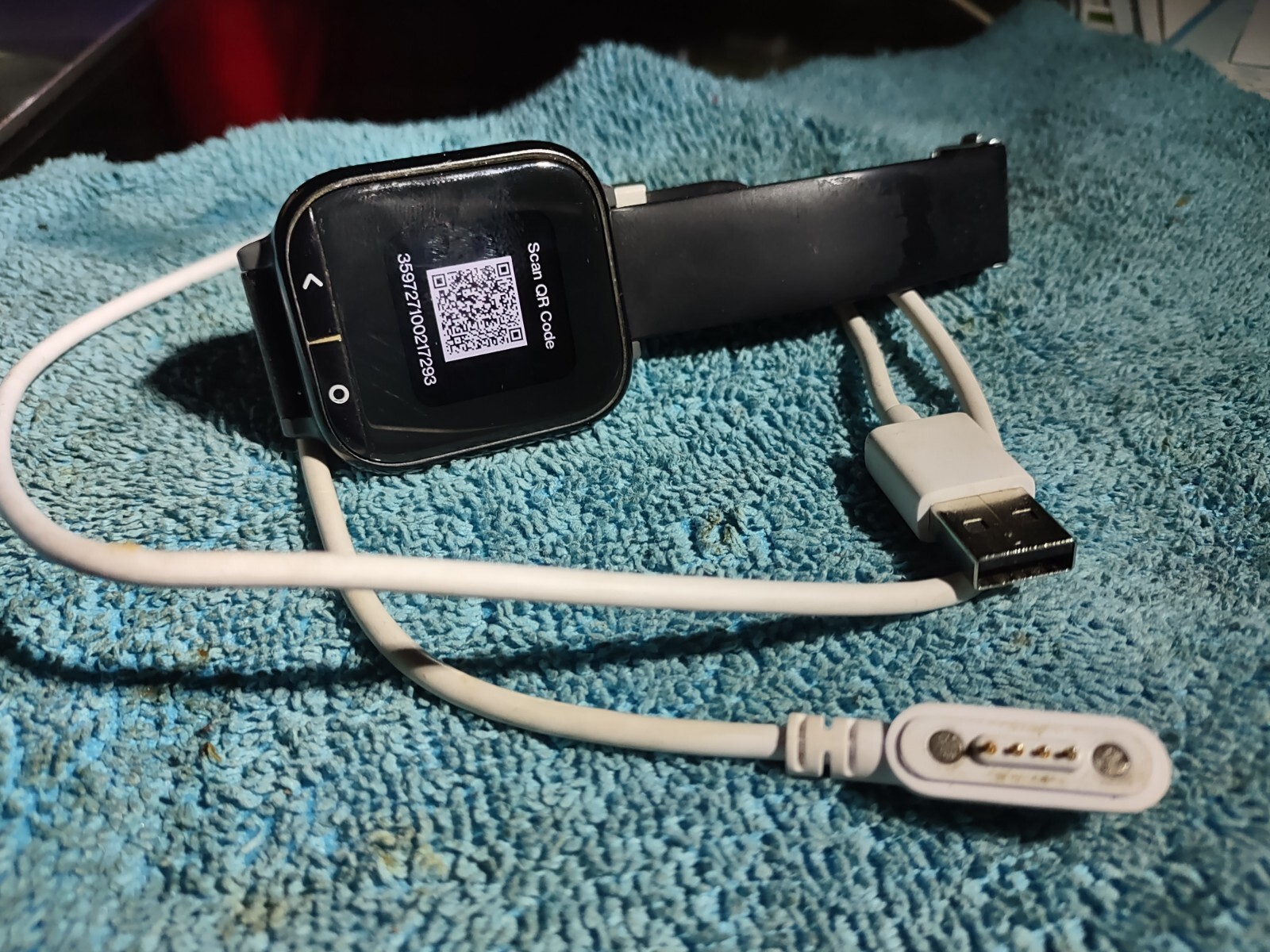 Verizon Care Smart Watch