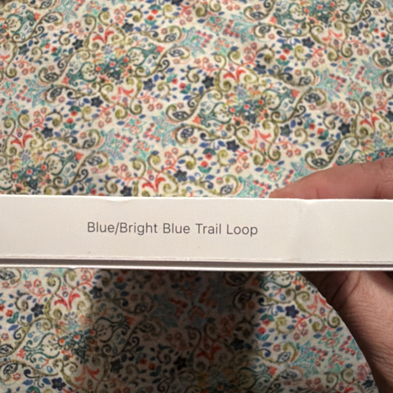 Apple Watch 49mm Blue/Bright Blue Black Titanium Trail Loop S/M
