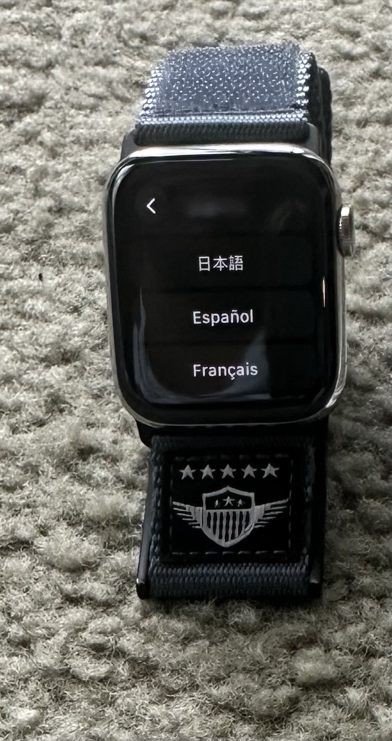 Apple Watch Series 6 44mm Stainless Steel Silver Case Gray Nylon Band Bluetooth