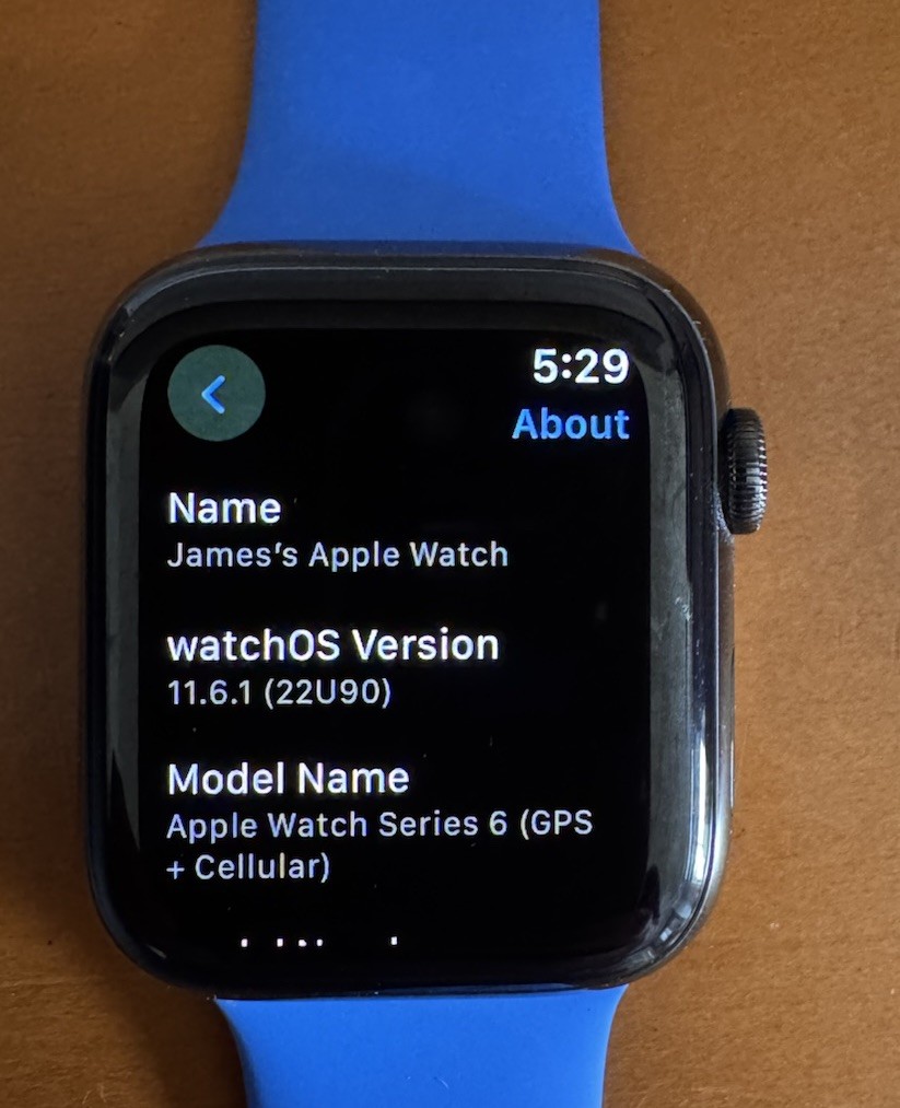 Apple Watch Series 6 44mm Graphite Stainless Steel GPS + Cellular A2294 w/ Box