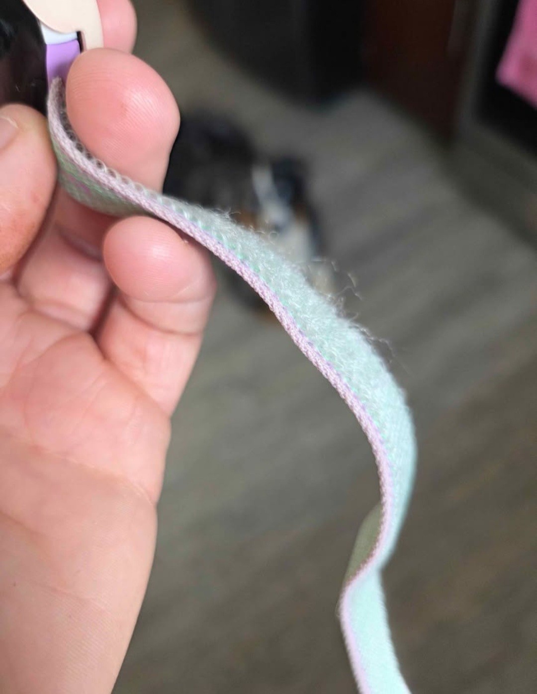 2 Fitbit Ace Lte Watches