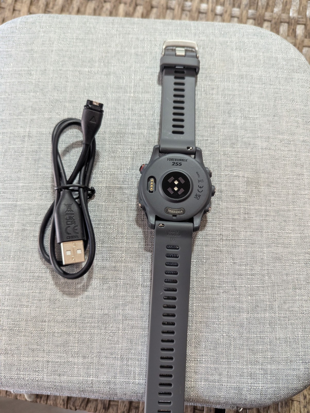 Reloj Forerunner 255 Gris 7E6312414