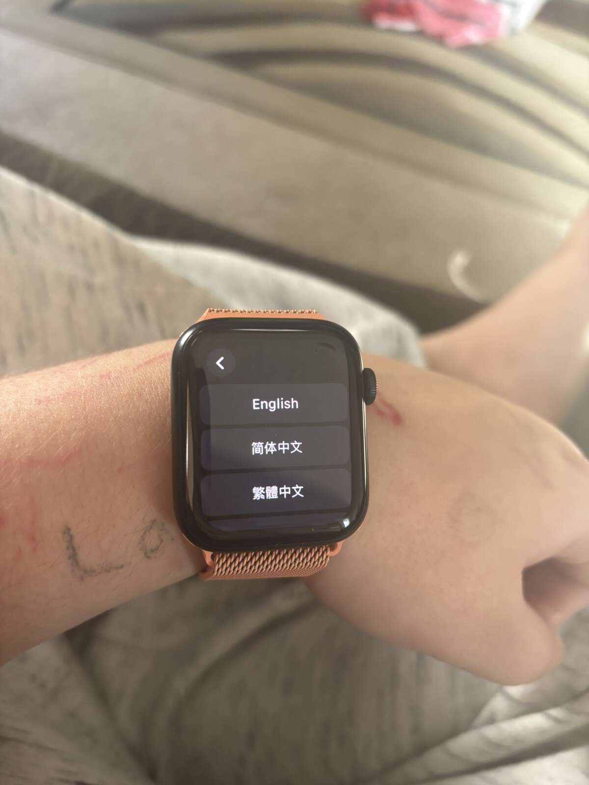 Apple Watch SE