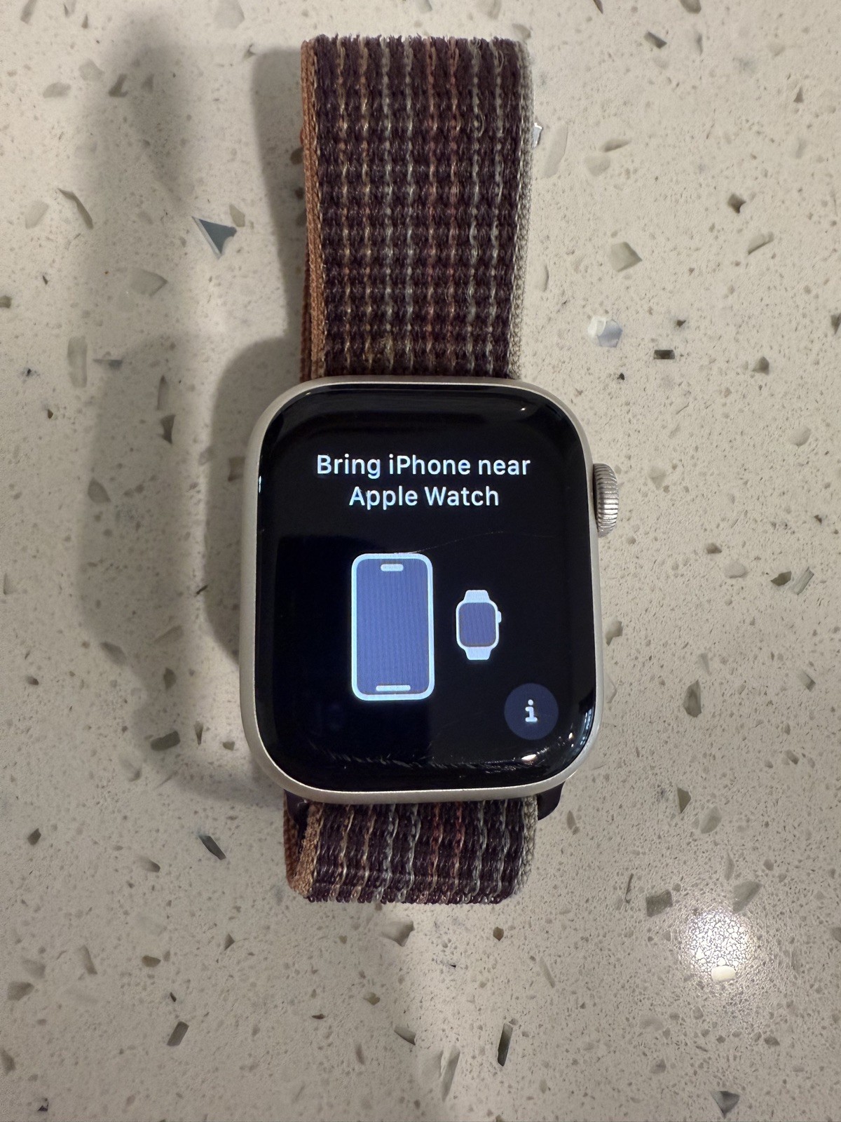 Apple Series 8 41MM Silver Aluminum Elderberry Sport Loop