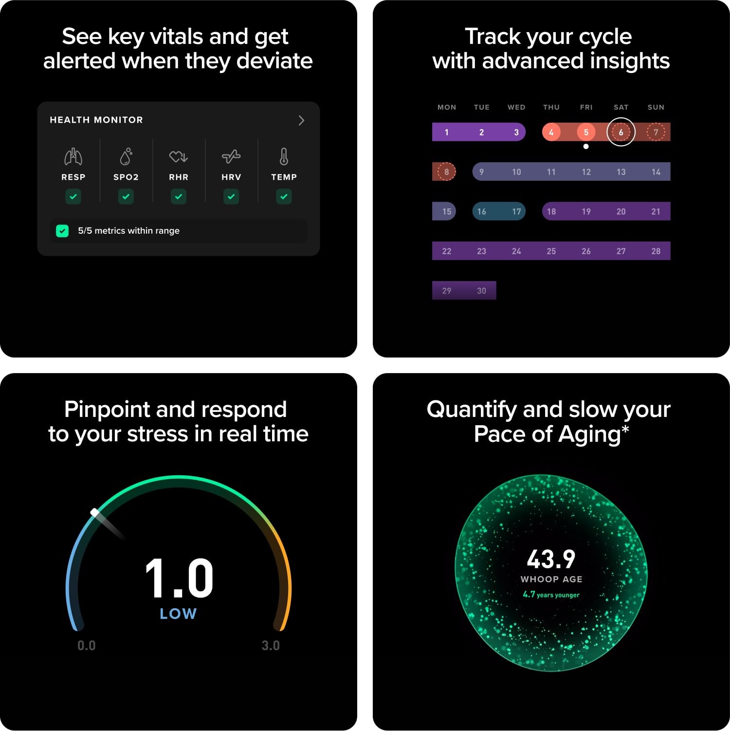 “12-Month Membership: Health and Fitness Wearable with 24/7 Activity Tracking”