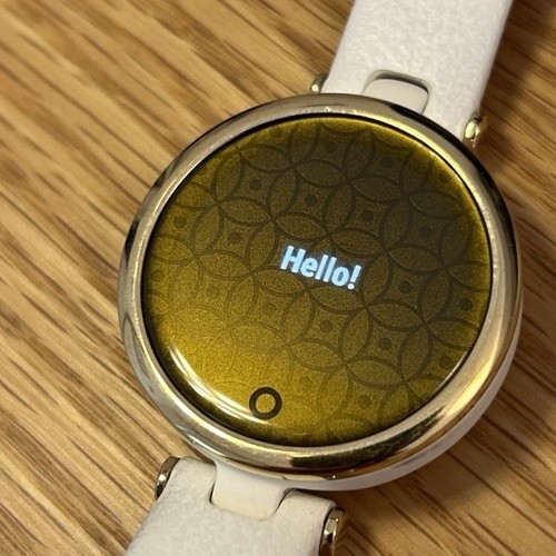 GARMIN Lily Classic White Leather Cream Gold w/Box