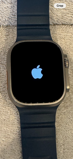 Apple Watch Ultra 2 Titanium 49mm Model A2986 with Extra Band Unlocked