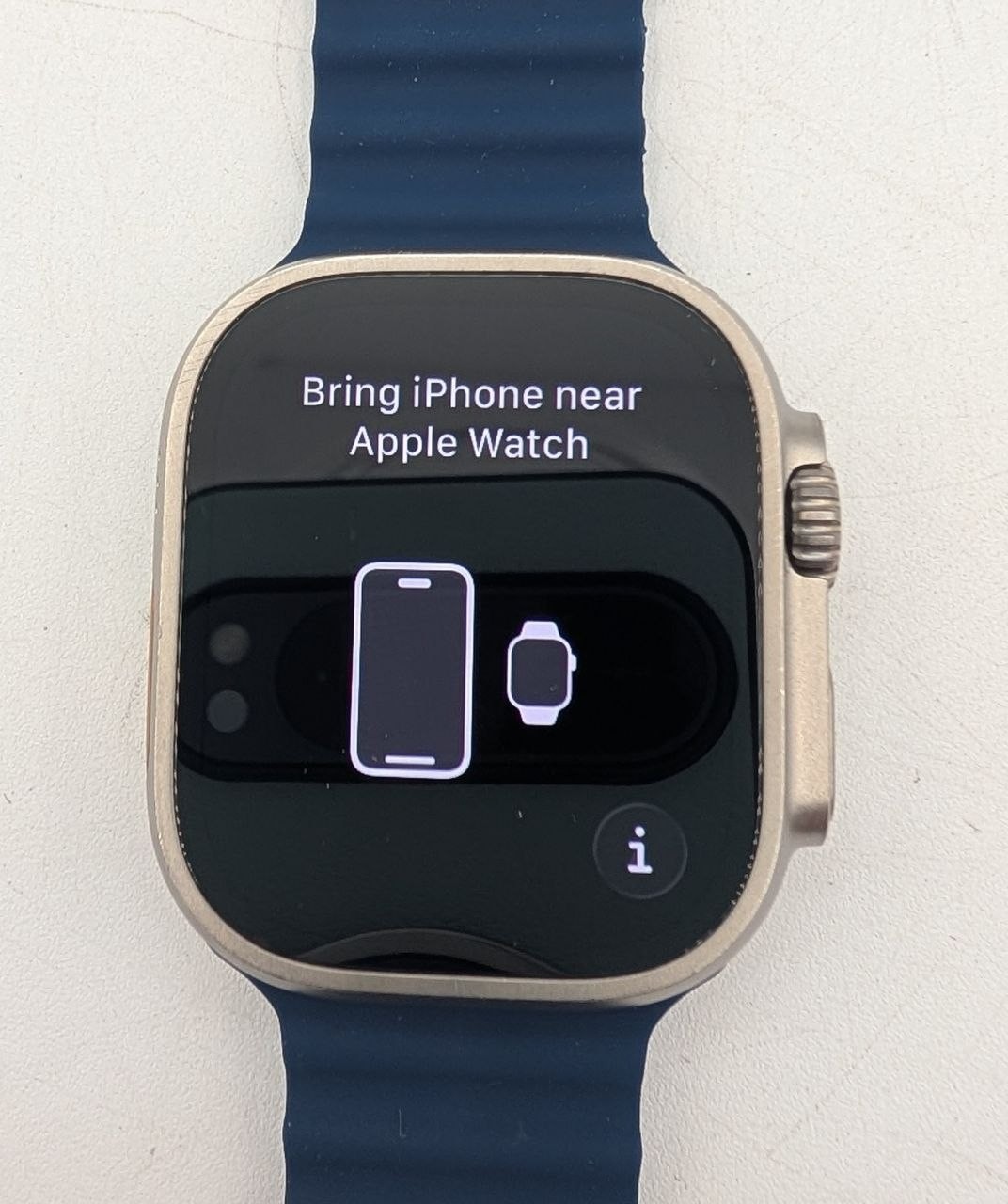 Apple Watch Ultra 2 Natural Titanium Case with Blue Ocean Band – READ