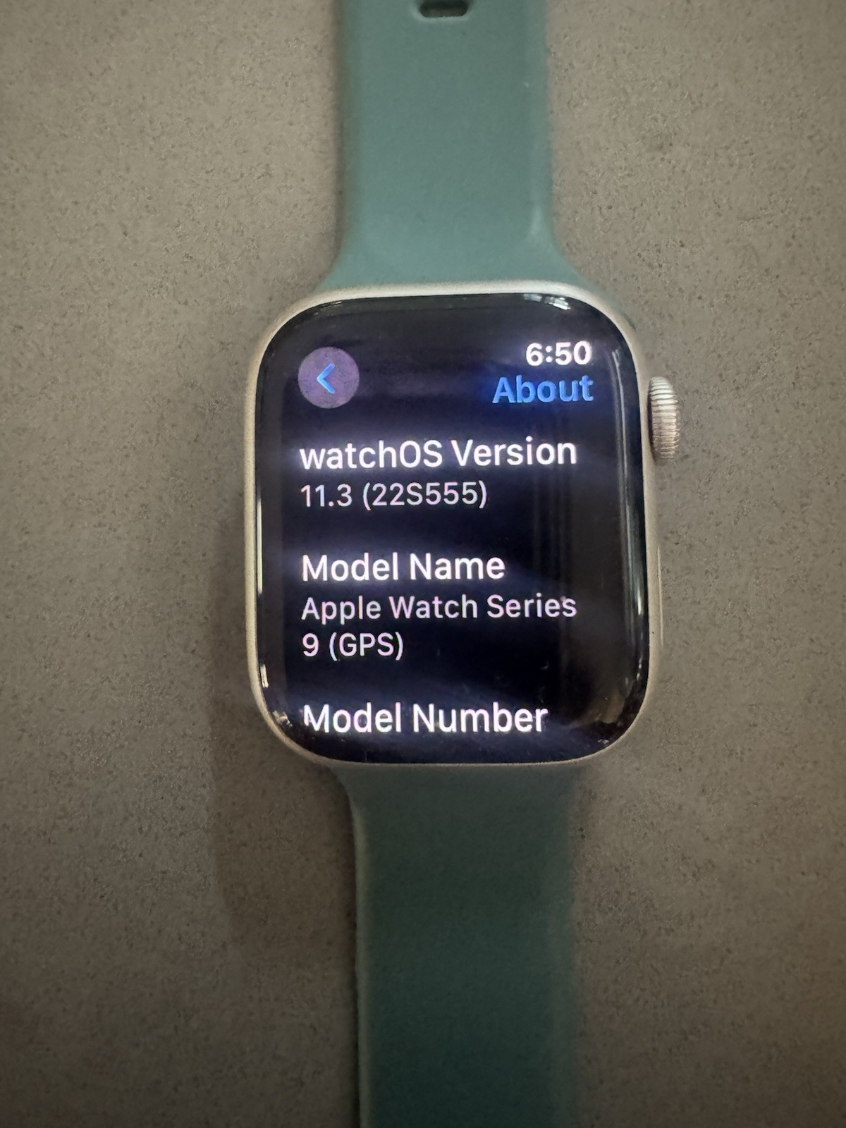 Apple Watch Series 9 GPS 45mm Silver Aluminum 64GB Blue Fluoro Band MR8T3LL/A