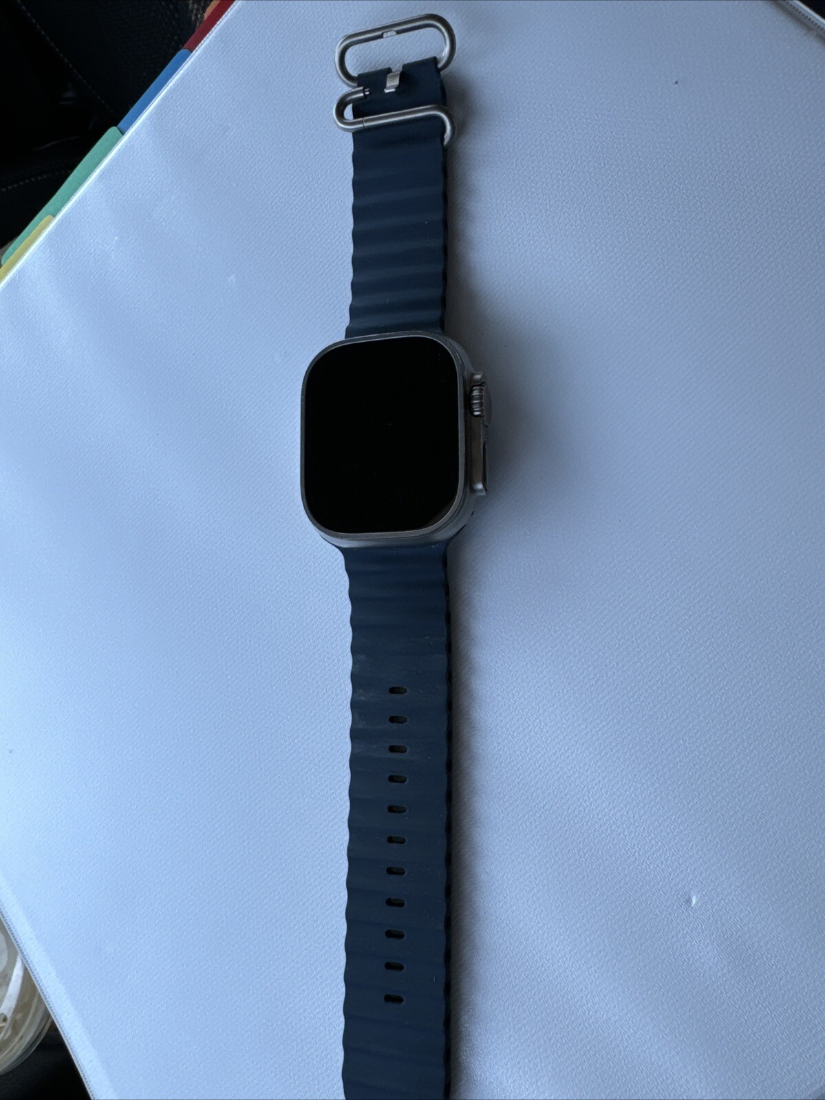 Barely Used – Apple Watch Ultra 2 49mm Titanium Case with Ocean Band – Blue