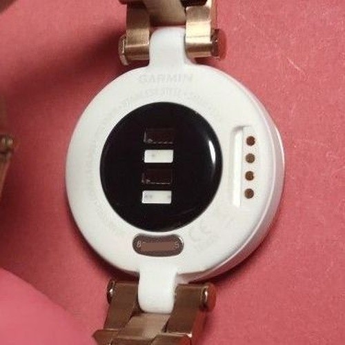 Garmin Lily Classic Small Stylish Smartwatch Pink NT #0002