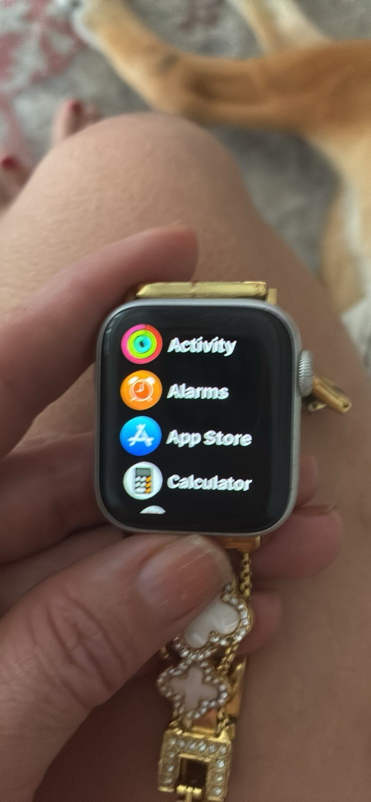 Apple Watch Series 4 40mm Silver Stainless Steel Case Gold Metal Band iOS