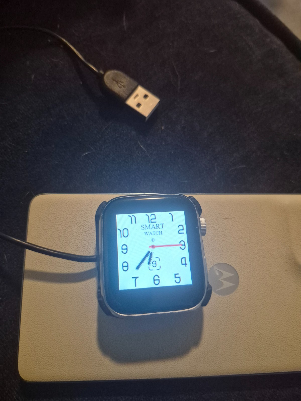 Apple WR-1P67 dive 40m ultra 49mm