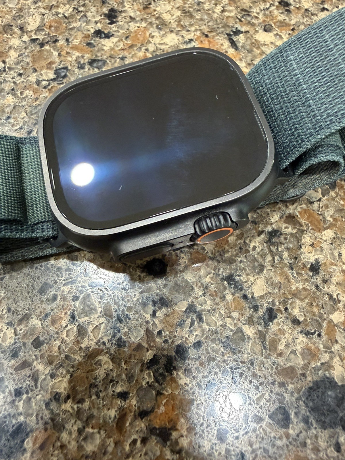 Apple Watch Ultra 2 49mm Silver Titanium – Excellent Used Cond – alpine band 98%