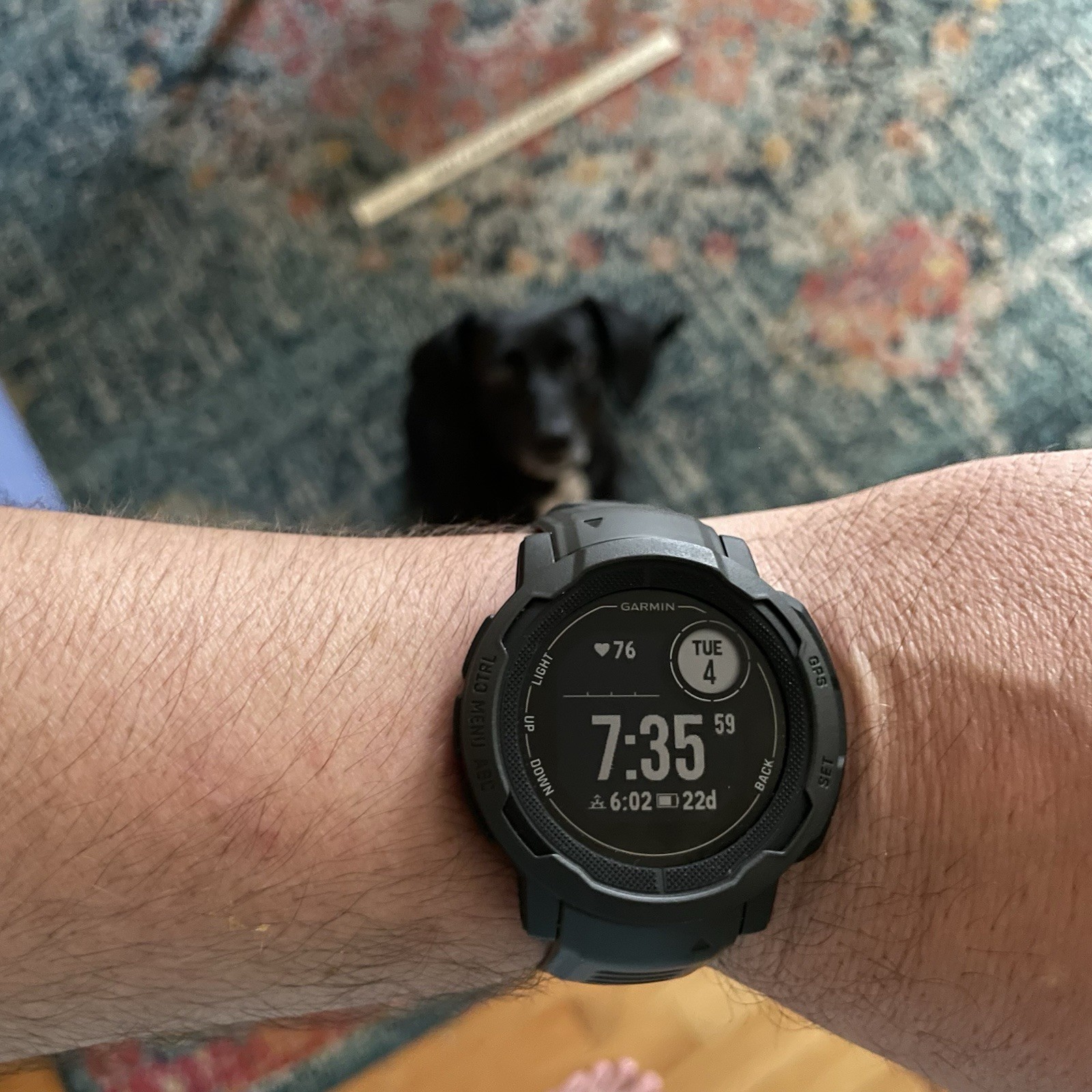 Garmin Instinct 2 45mm Standard Edition Black Bluetooth Smartwatch Pre-Owned