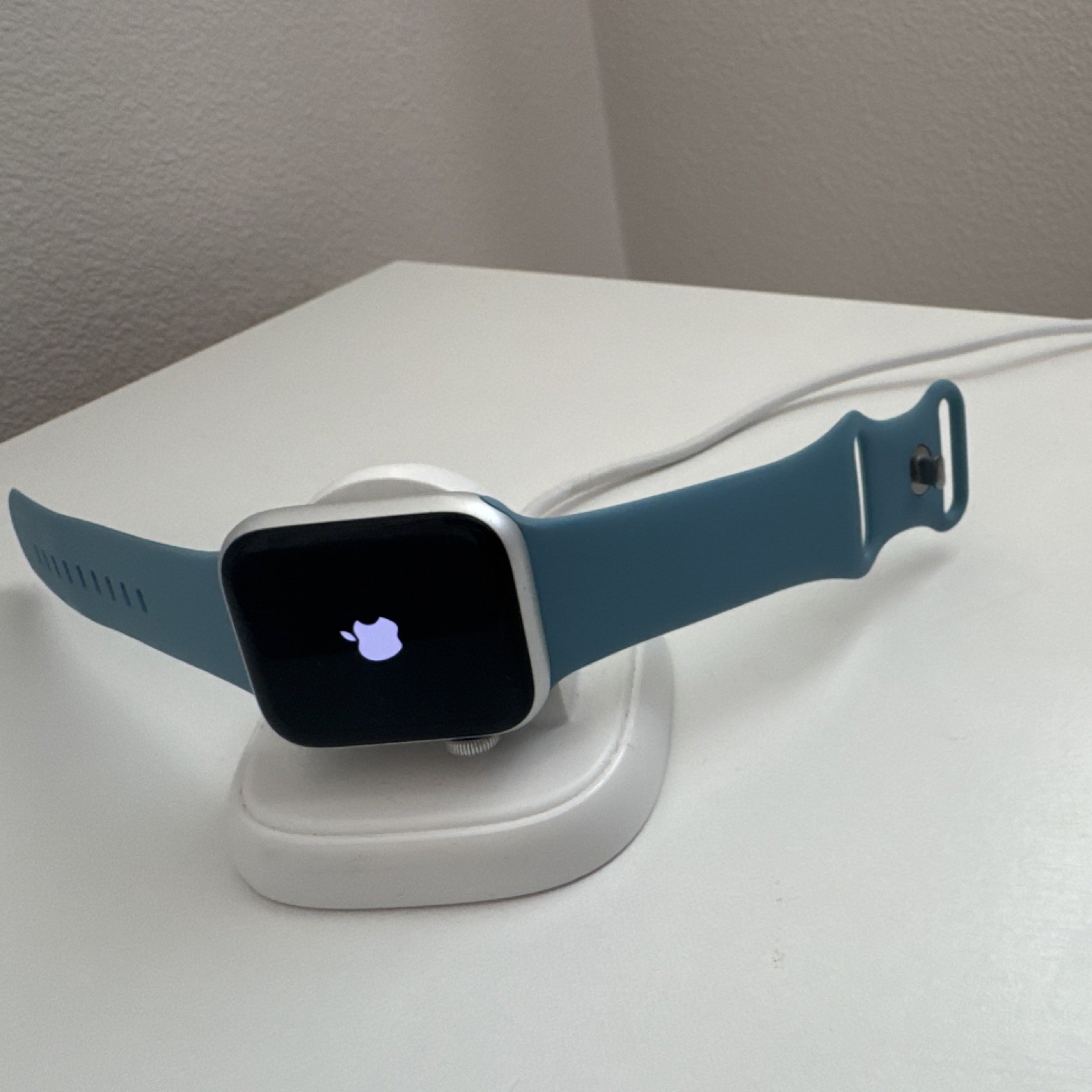 Apple Watch 44mm Silver Aluminum Case Blue Silicone Band Heart Rate Sensor iOS
