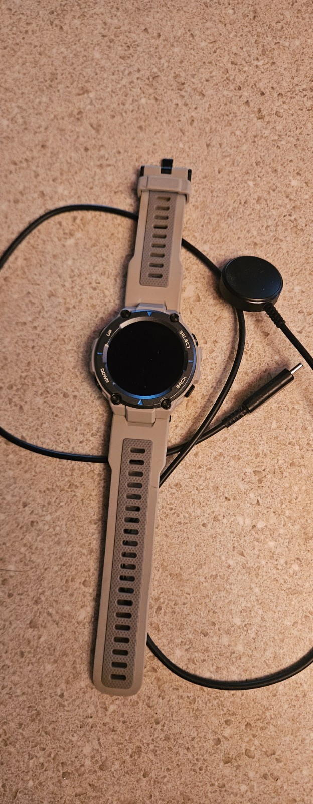 Amazfit T-Rex Pro 47mm Black Case Gray Silicone Band – A2013