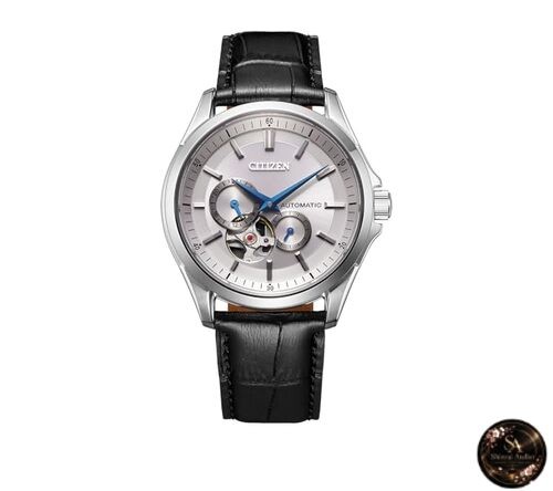 CITIZEN COLLECTION NP1011-08A Men’s Watch