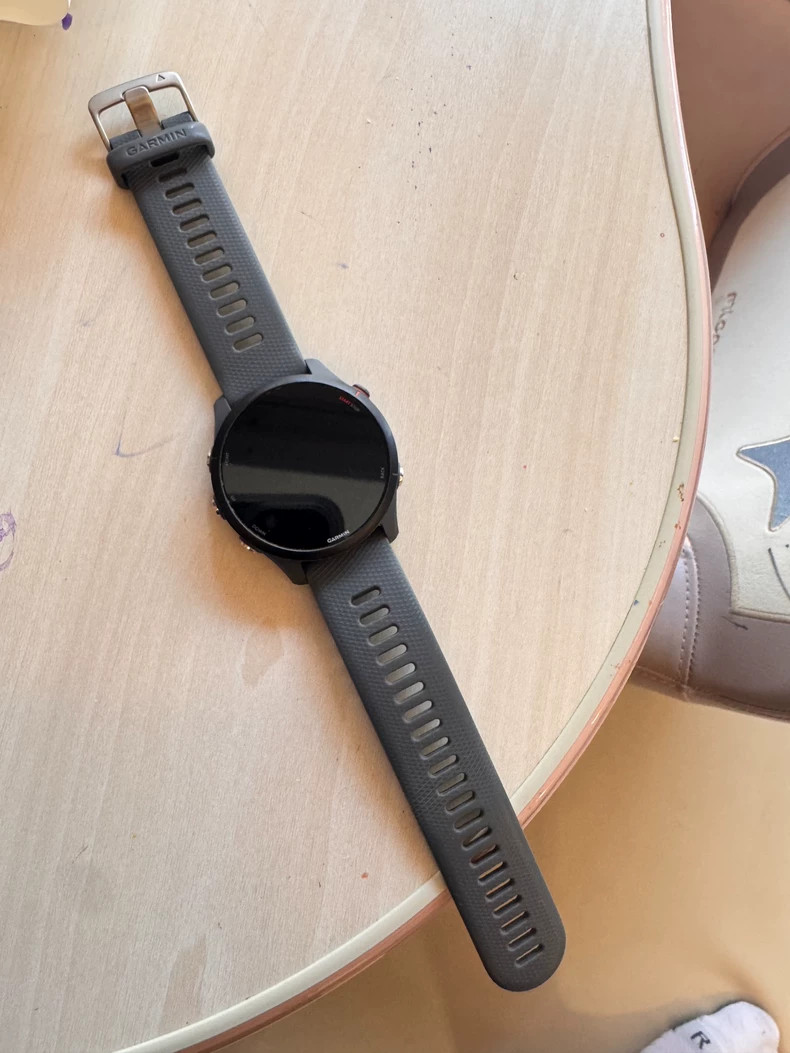 Garmin Forerunner 255 GPS Running Smartwatch Gray 44mm Sport Watch – 90% New