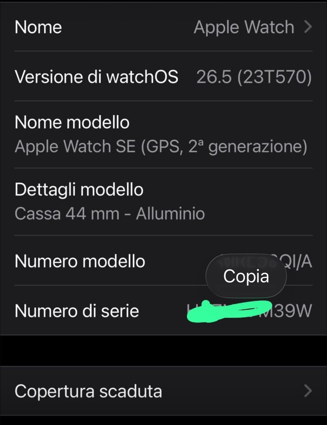 Apple Watch SE GPS 44mm Silver 2nd Gen Sport Band MNK23TY/A