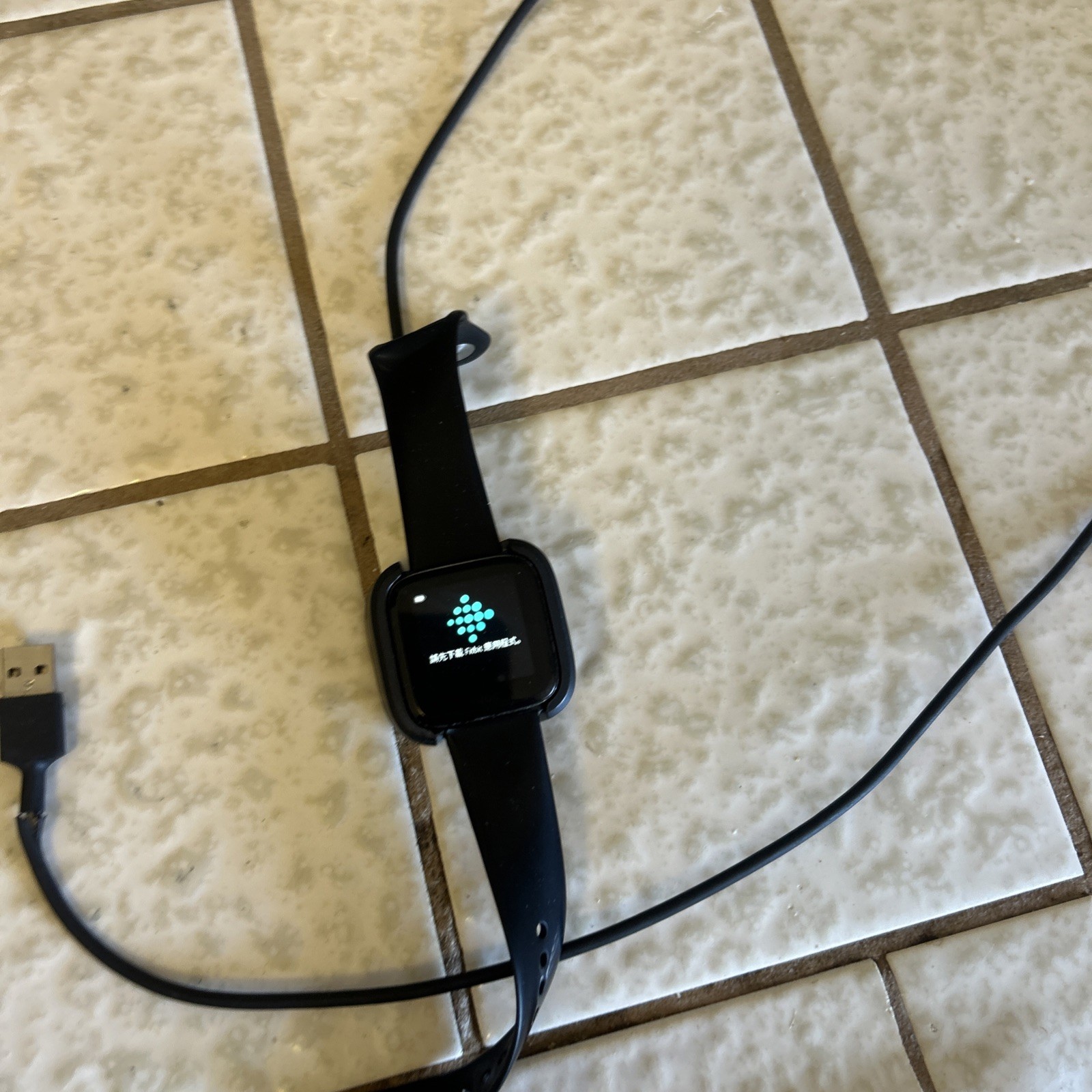 Fitbit Versa 2 Tracker, Black W/ Cord