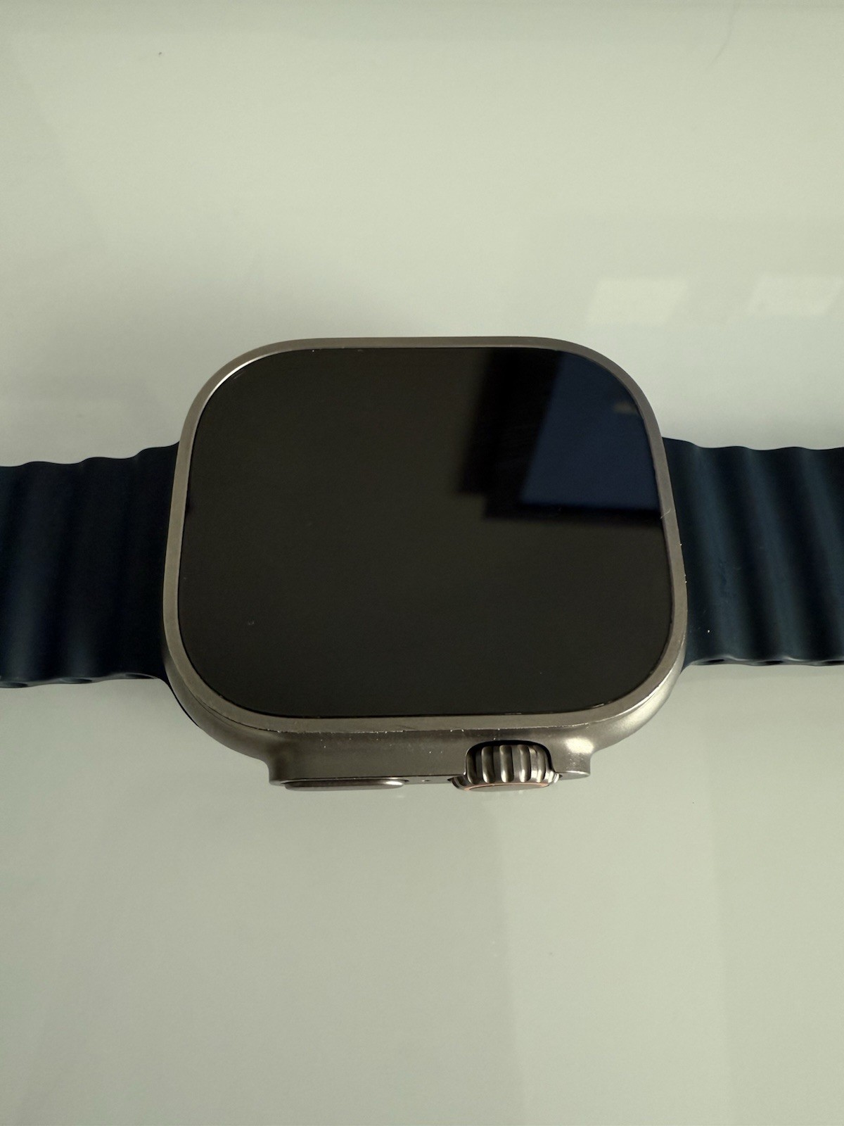 Apple Watch Ultra 2 49mm Titanium Case with Ocean Band – Blue, One Size (GPS…