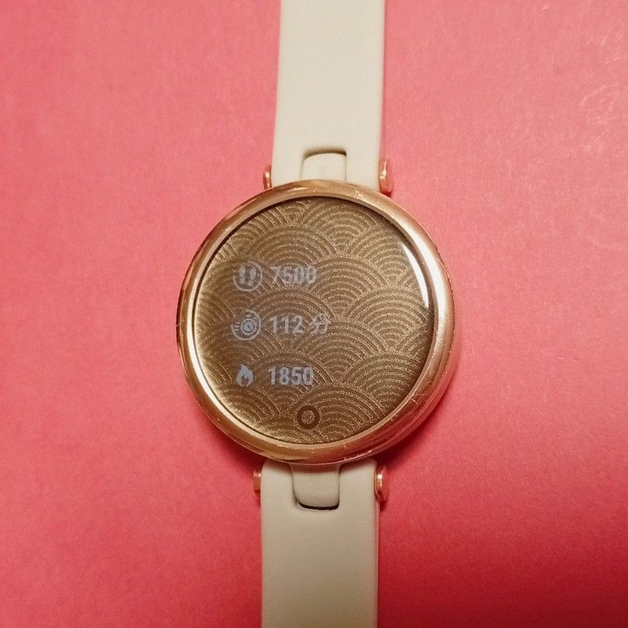 GARMIN LILY Smartwatch Bluetooth Black Womens GPS Sport Watch Working Used