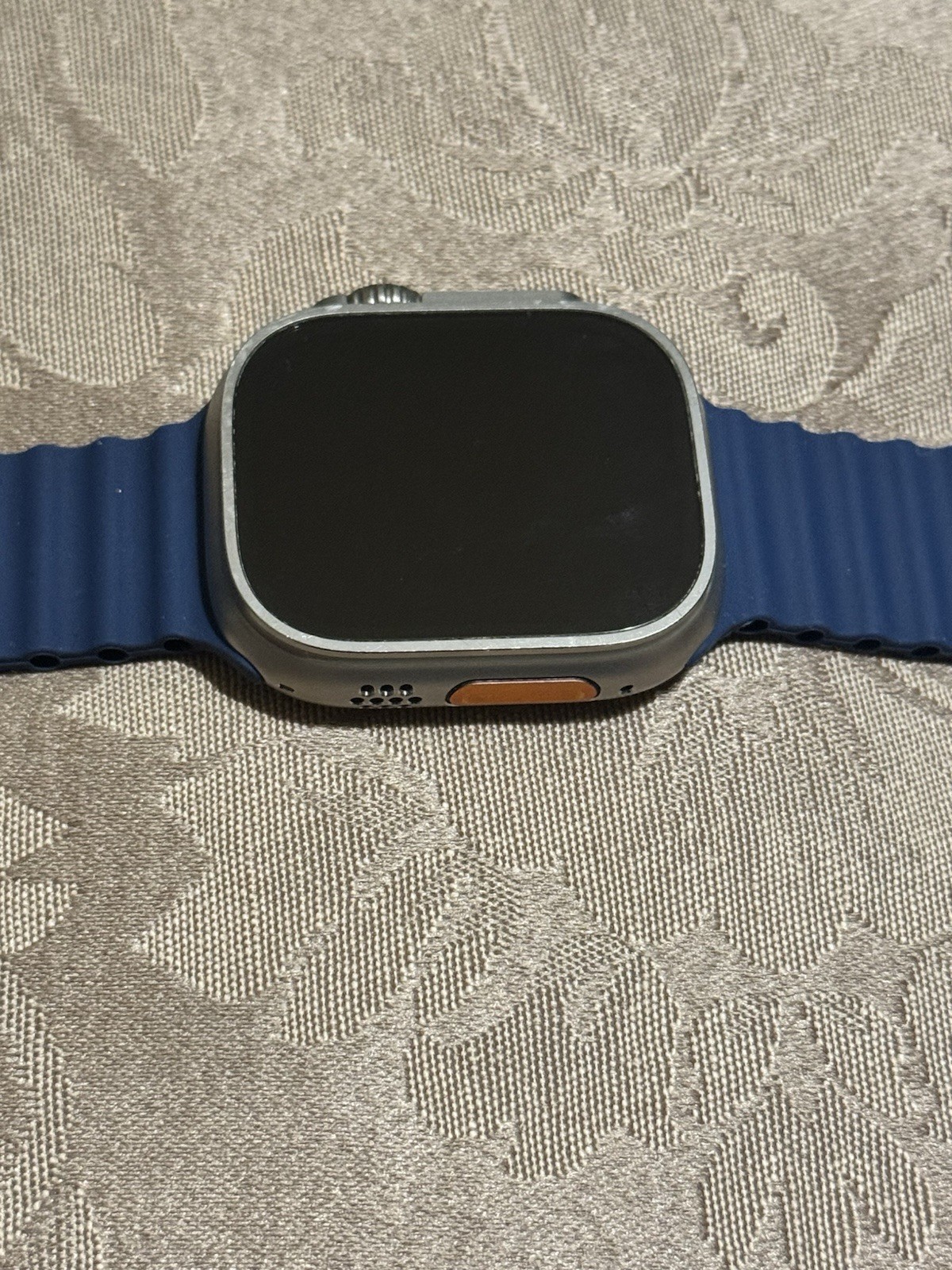 Apple Watch Ultra 2 [GPS + Cellular 49mm] – Titanium Case with Blue Ocean Band
